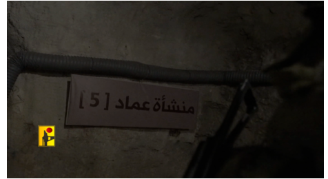 بالفيديو .. 