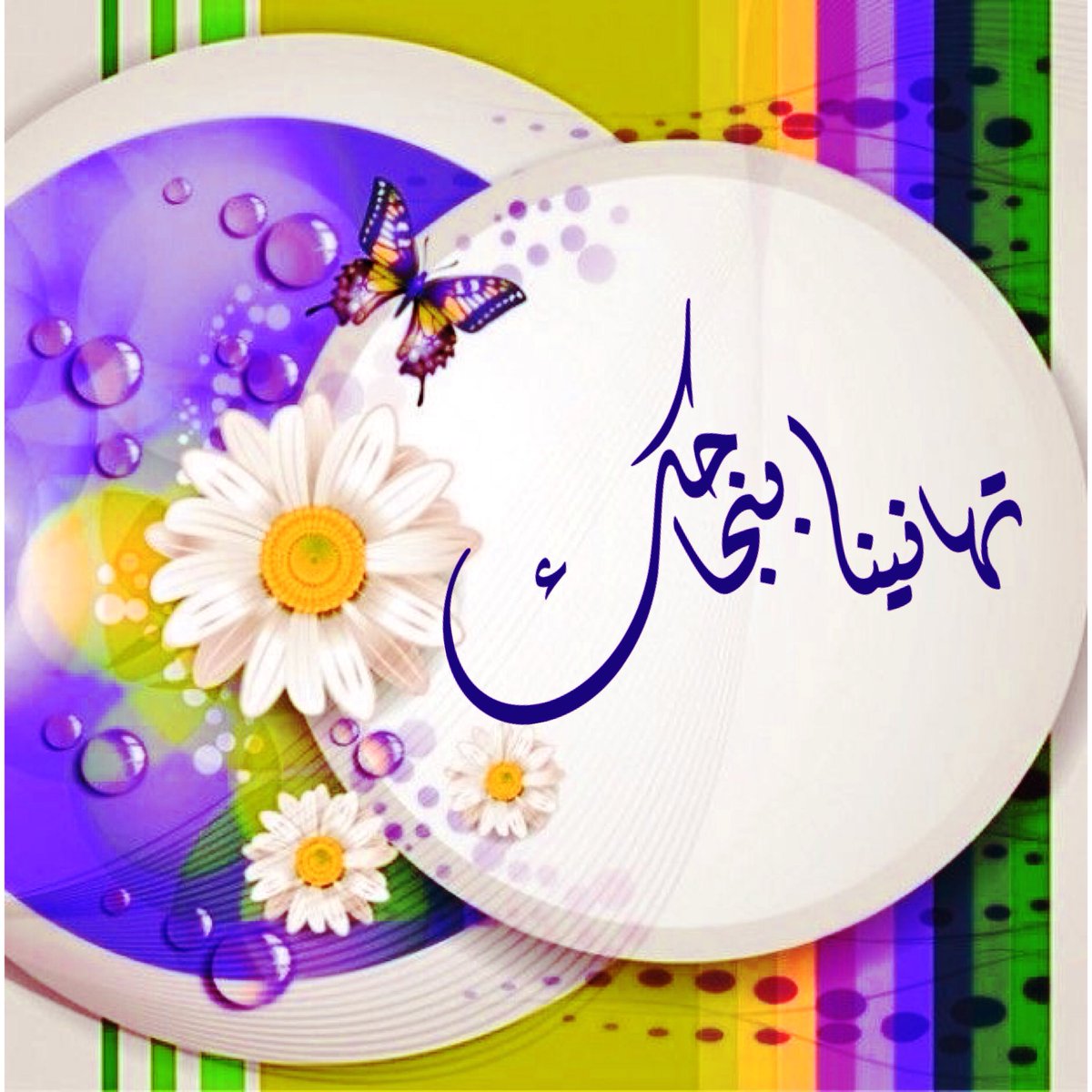احمد القصراوي  ..  مبارك النجاح 