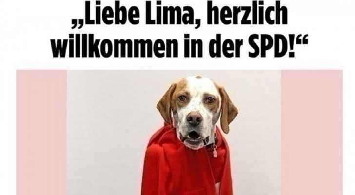 كلب يحصل على عضوية حزب سياسي في ألمانيا