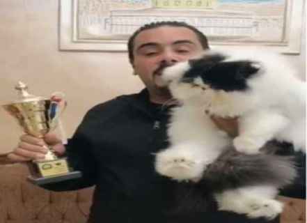 بالفيديو  ..  "ليزا" ملكة جمال القطط في الأردن