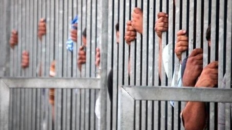 7355 نزيلا يبدأون مغادرة السجون تنفيذا لـ"العفو العام"