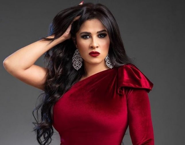 شقيق ياسمين عبد العزيز: أرجوكم استوعبوا قلقنا