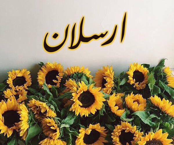 "سرايا" تهنئ الدكتور إيهاب الشقيرات بقدوم "أرسلان" 