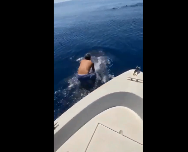 شاهد فيديو يحبس الأنفاس ..  سعودي يقفز على ظهر حوت في البحر الأحمر ويمطتي ظهره!