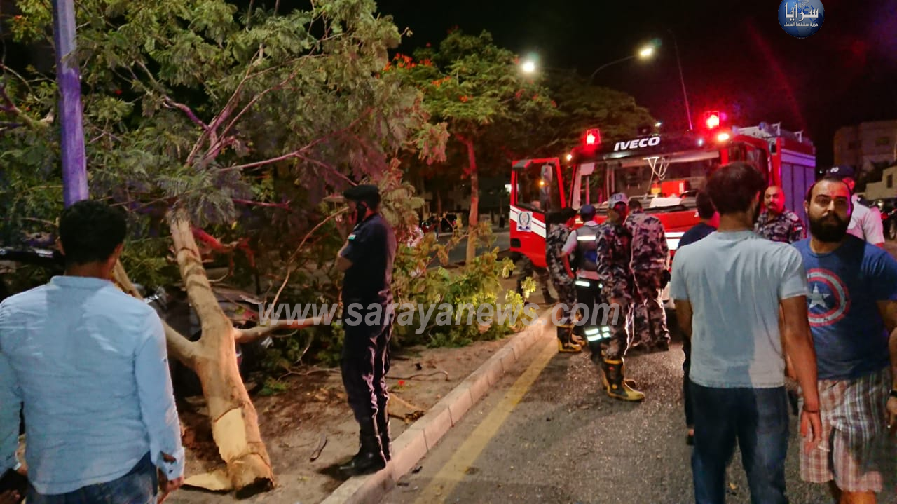 بالصور  .. العقبة : اصطدام مركبة بشجرة داخل جزيرة وسطية وانباء عن أطلاق نار على السائق 