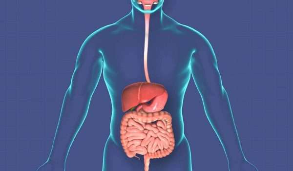 16 معلومة غريبة قد تدهشك عن الجهاز الهضمي ..  تعرف عليها الآن من هنا