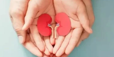 هل الإفراط في شرب الماء يضر بالكلى؟