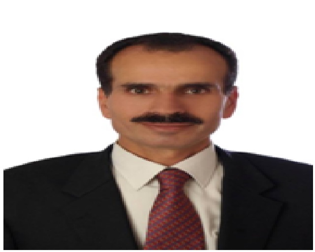 ستنجح القمة العربية   