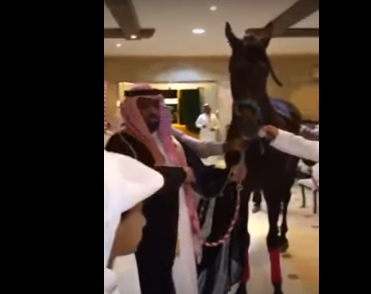 "هدية استثنائية" في حفل زفاف تصيب المدعوين بالدهشة