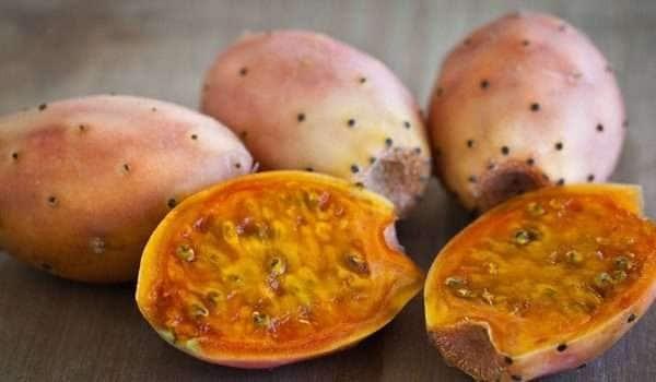 مع اقتراب موسمه ..  تعرف فوائد الصبار الثمينة