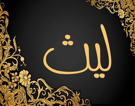 ليث علي الحامد  ..  الف مبارك المولود الجديد "ليث"