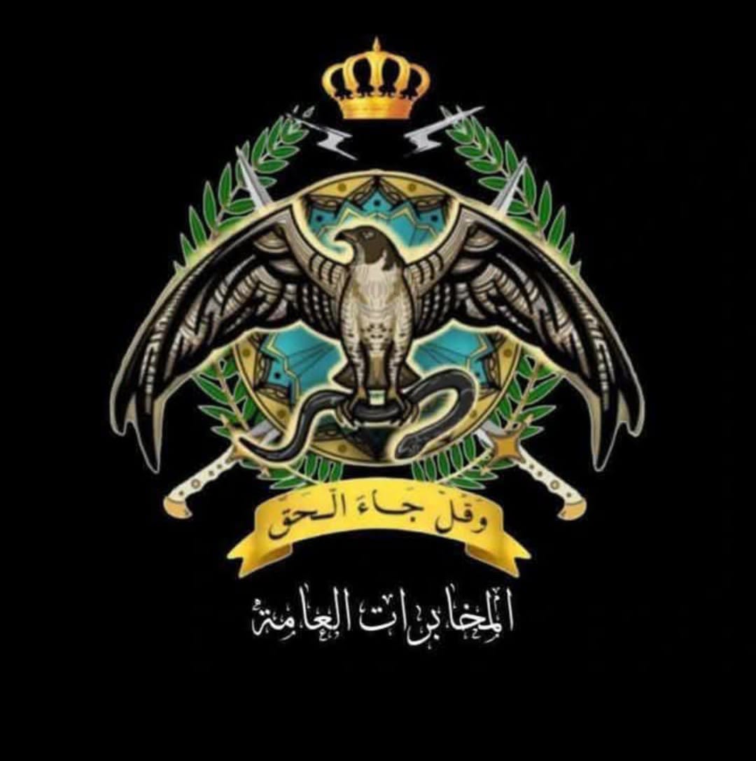 د. عزالدين عبدالسلام الربيحات يكتب: الأردن صامد ..  بقيادةٍ لا تساوم وأجهزةٍ لا تنام