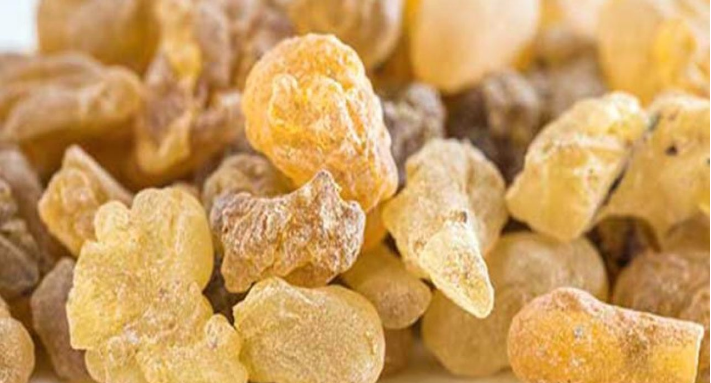 فوائد ثمينة للبنان الذكر على الحامل