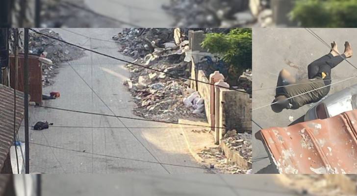 جثامين شهداء في أحياء غزة ..  إفادات جنود الاحتلال في غزة: "كلاب تحمل أشلاء"