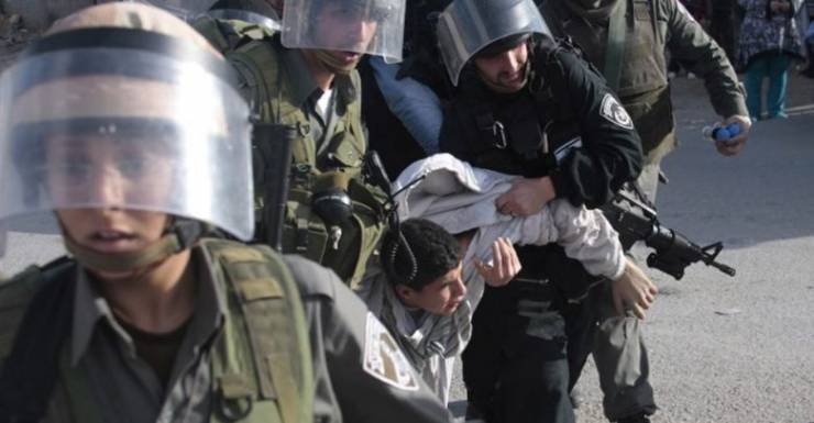  الاحتلال يعتقل 8 مواطنين من الخليل