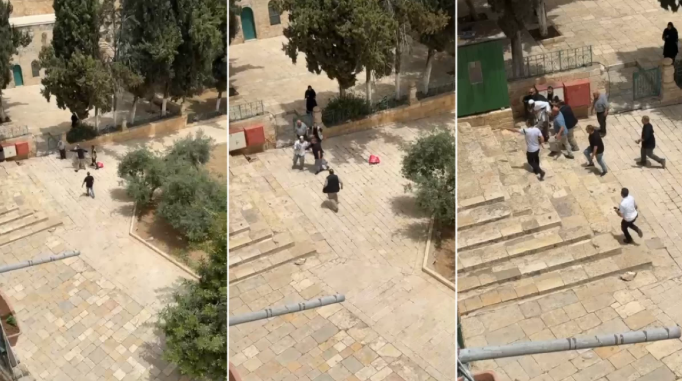 حراس المسجد الأقصى يمنعون مستوطنين من تهريب خروف لذبحه في ساحات المسجد