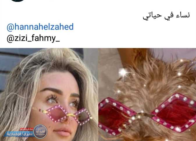رد فعل مفاجئ ..  أحمد فهمي يحرج هنا الزاهد بعد صورتها بجوار كلبته  ..  صور 