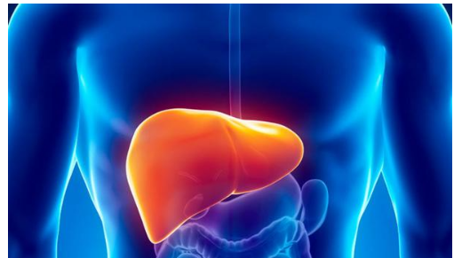 طرق تنظيف الكبد في المنزل