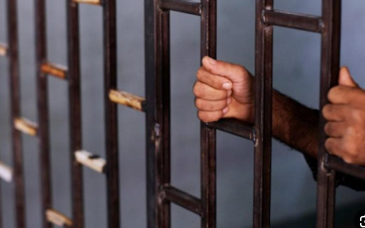 تفاصيل نص قانون العفو العام لعام 2024