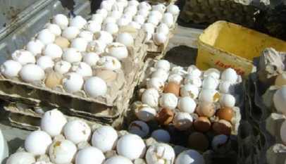 ضبط 1.5 طن بيض فاسد في الرمثا ..  تفاصيل