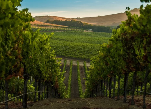 أشياء عليك تجربتها في وادي نابا