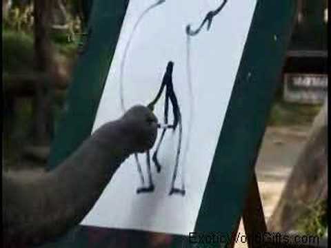 بالفيديو ..  فيلة ترسم لوحات مدهشة باستخدام خراطيمها