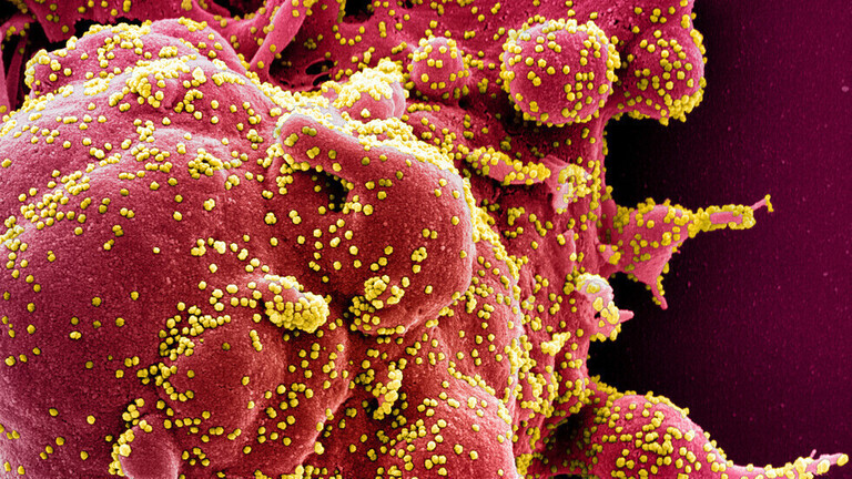 "الصحة العالمية": تسجيل 142 ألف إصابة و 5055 وفاة جديدة بفيروس كورونا في العالم