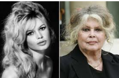 الكشف عن سبب وفاة الفنانة الشهيرة بريجيت باردو