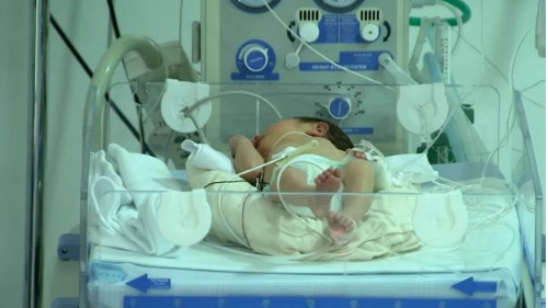 غزة  ..  130 طفل خداج يواجهون خطر الموت لنفاذ وقود المولدات