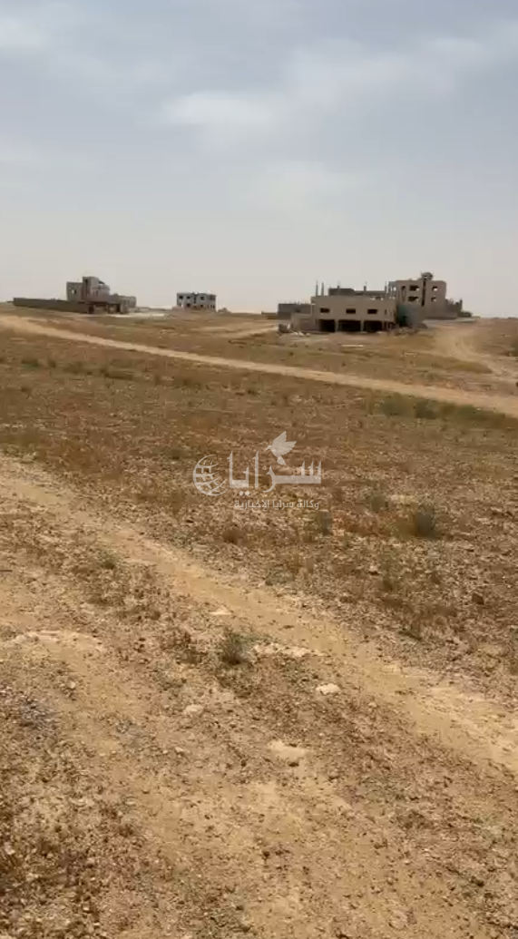 أهالي "حوض الجامعة" بالزرقاء يجددون مطالبهم بالخدمات الأساسية وسط وعود حكومية لم تتحقق  ..  فيديو 