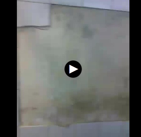 بالفيديو  ..  قسم طوارىء مستشفى المفرق جدرانه مهترئة 