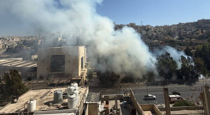 مصدر أمني: نشوب حريق أعشاب الجمعة بمنطقة وسط البلد .. فيديو وصور