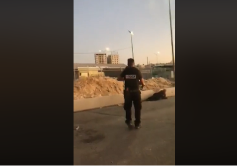 بالفيديو  ..  استشهاد فتاة فلسطينية على حاجز قلنديا