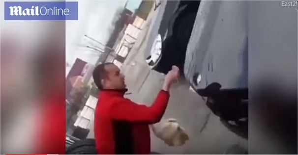 بالفيديو: روسي يستخدم قطة لتنظيف سيارته