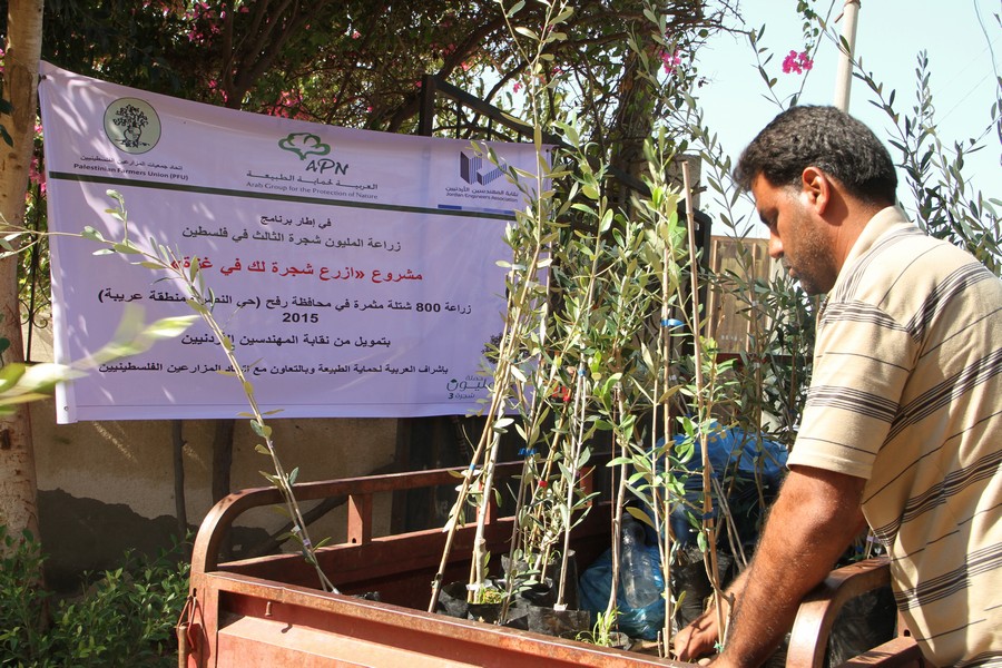 المهندسين تشارك في مشروع ازرع شجرة في غزة