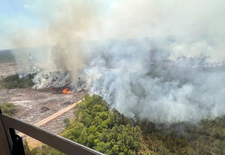 دمرت أكثر من 120 منزلًا ..  حرائق الغابات تلتهم مساحات واسعة في أميركا