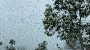 الزراعة: الهطل المطري بالأردن مبشّر حتى الآن مقارنة بالموسم الماضي