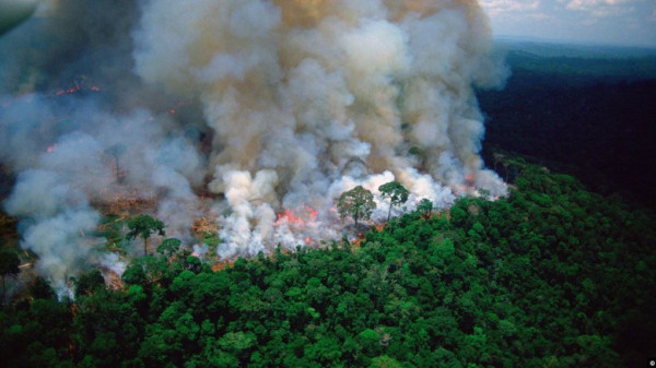 معلومات خاطئة نشرها الرئيس الفرنسي وكريستيانو رونالدو عن غابات الأمازون  ..  ليست رئة العالم "صور" 