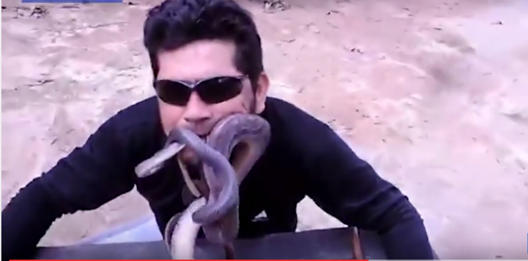 بالفيديو  ..  برازيلي يضع 4 ثعابين حية في فمه دفعة واحدة!!