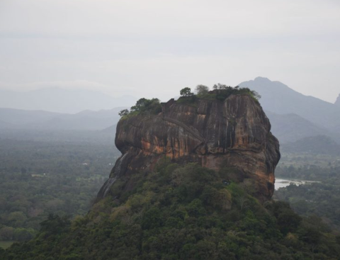 نصائح هامة عليك معرفتها قبل التخطيط لزيارة سريلانكا
