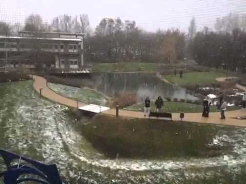 شاهد: ماذا فعل هؤلاء الأبناء السعوديين أمام نافذة والدهم المنوم في أحد مستشفيات التشيك