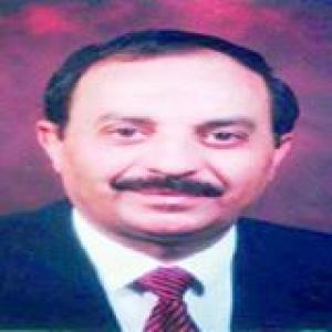 محمود الشيبي