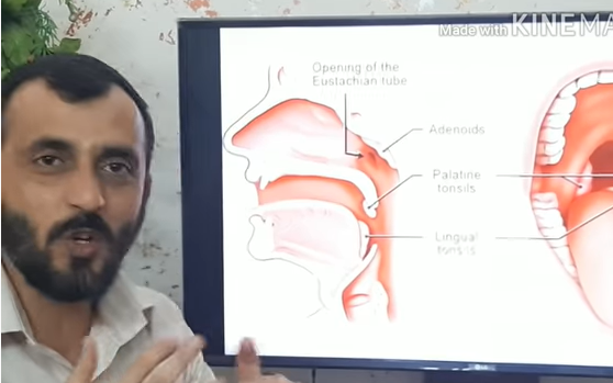 احم نفسك من اول ساعه اصابة بكورونا  ..  معلومات جديده وخطيره ..  فيديو