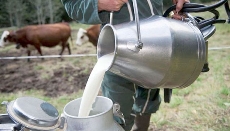 رئيس جمعية الأبقار لسرايا: "أسعار الألبان مستقرة خلال شهر رمضان"