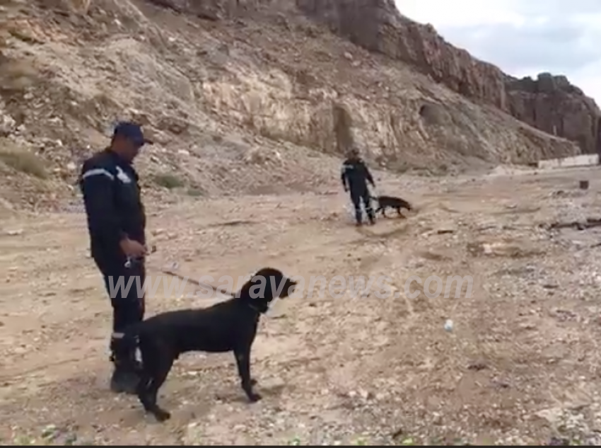 الاستعانة بكلاب بوليسية للبحث عن مفقودين في حادثة الأغوار