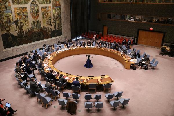 القيادة الفلسطينية تتوجه لمجلس الأمن طلبا للحماية الدولية