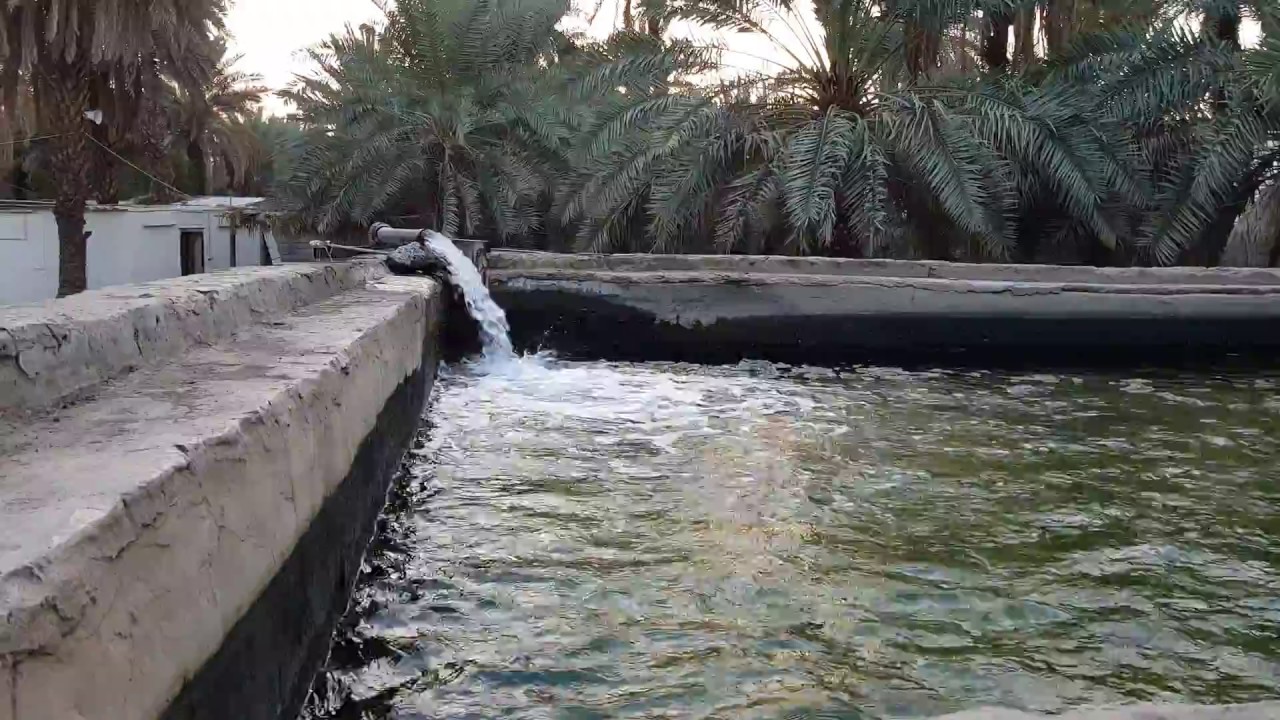 بالفيديو  ..  مزرعة سيدنا سلمان الفارسي رضي الله عنه (الفقير) 