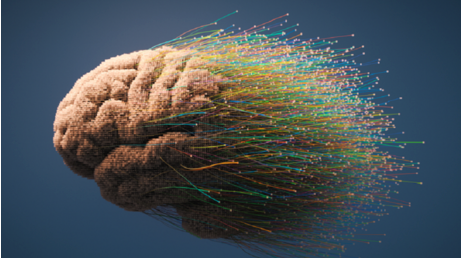 نصائح علمية لتقوية دماغك وتقليل التدهور العقلي