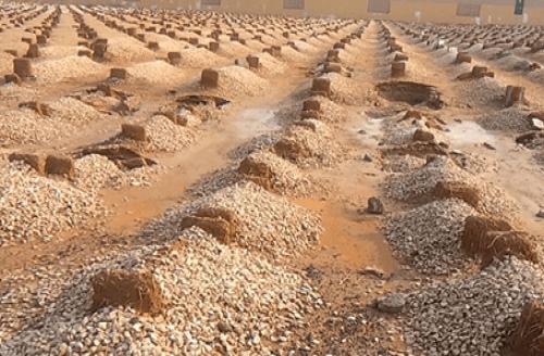 رحل والدي وترك لنا الحزن والندم، فكيف أبره بعد موته