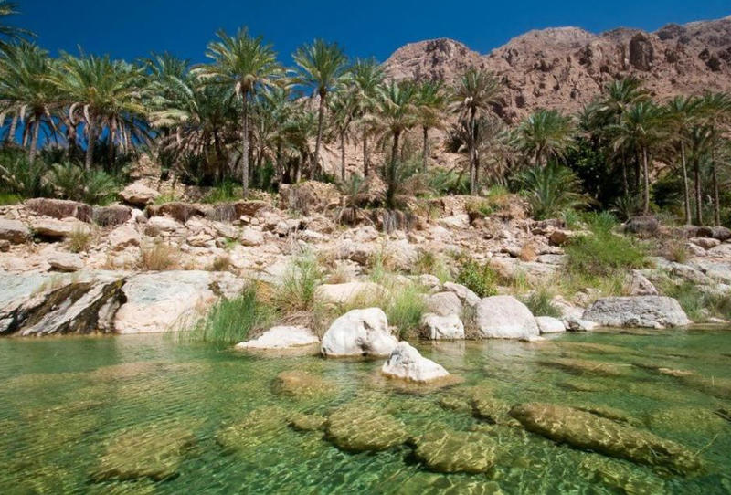 بالصور  ..  أجمل الأماكن السياحية في مدينة الأحساء السعودية